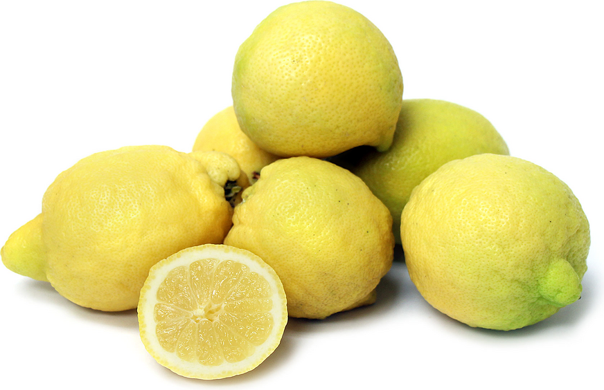 Monachello Lemons