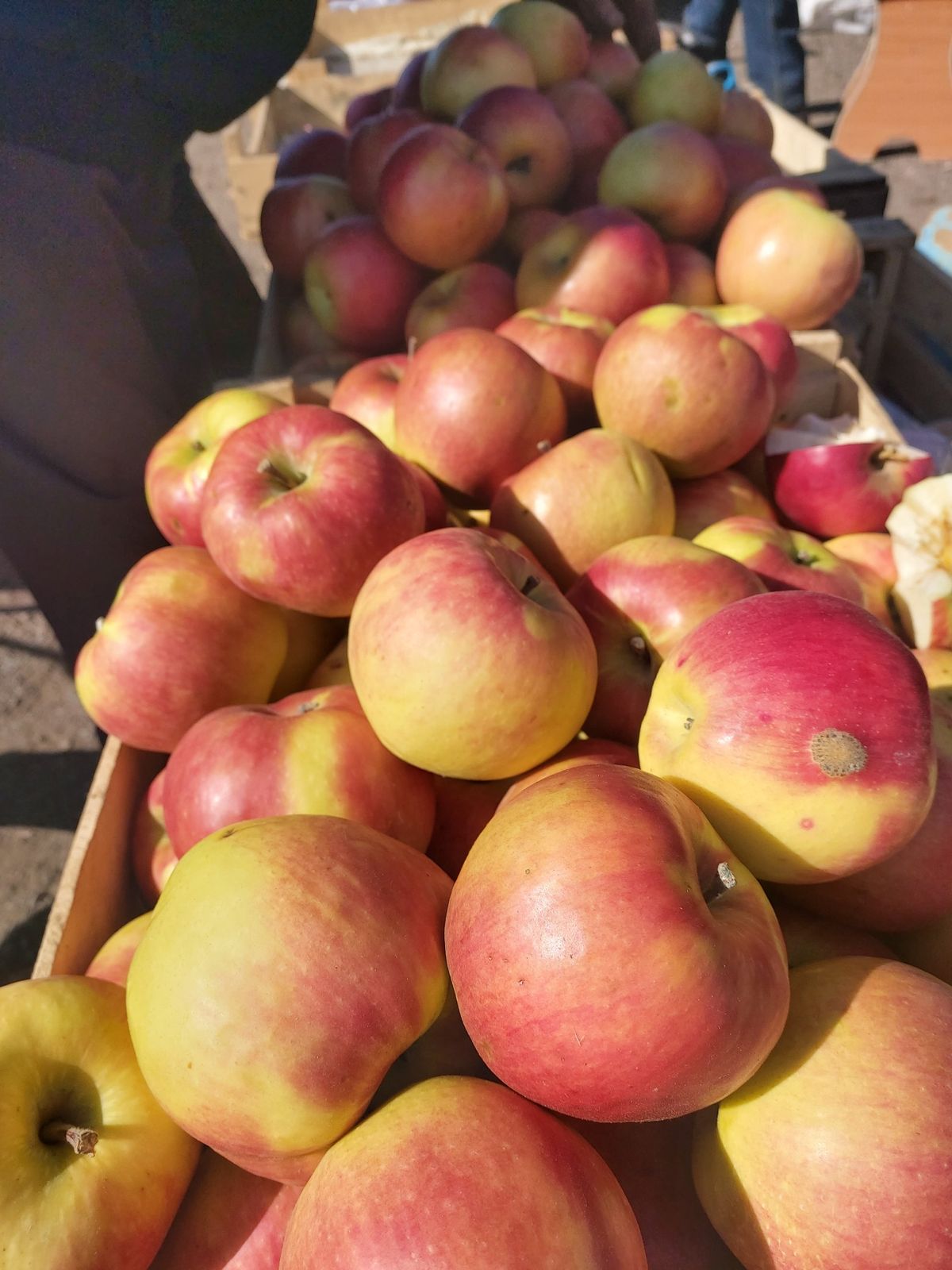Rashida æbler