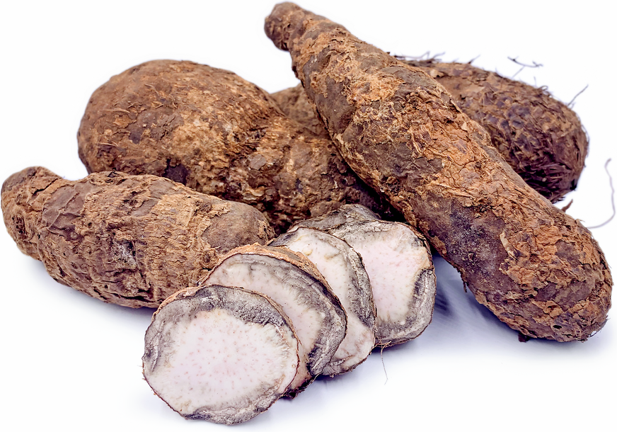 Westafrikanische Kokos-Yamswurzeln