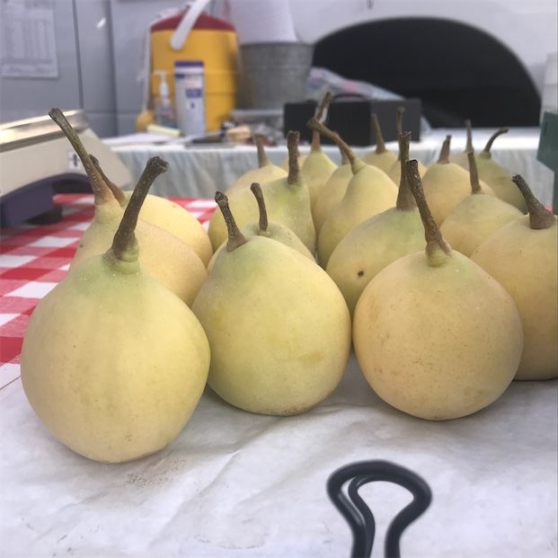 Fan-Stil Pears