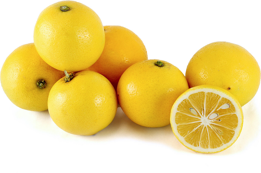 Citrons Meyer