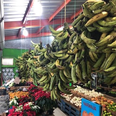 Zelené banány