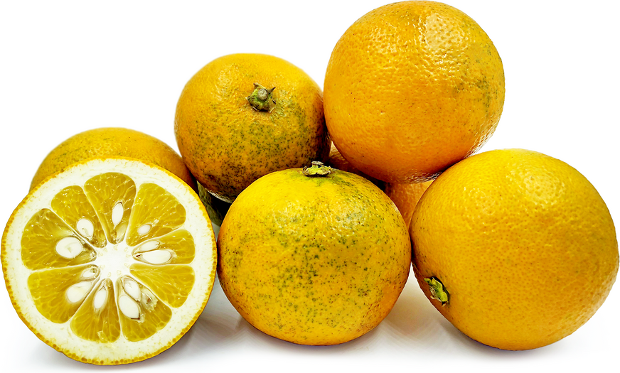 Japonské hořké pomeranče