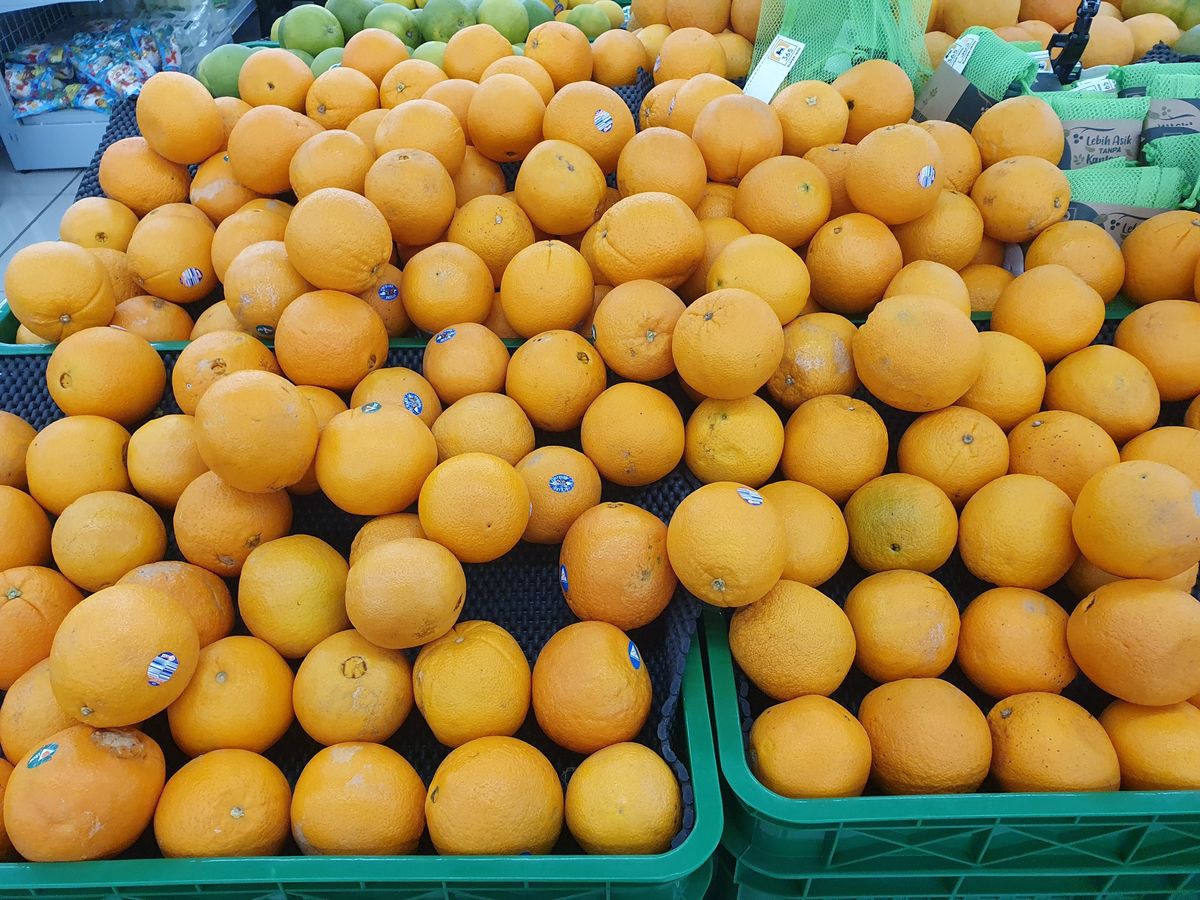 Oranges nombril