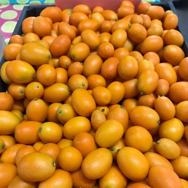 Nagami Kumquats