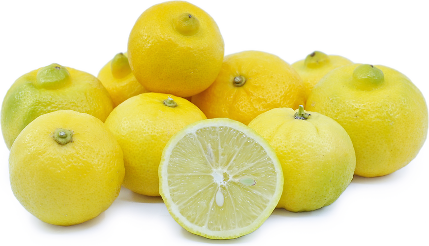 Marrakech Limonetta Citrons