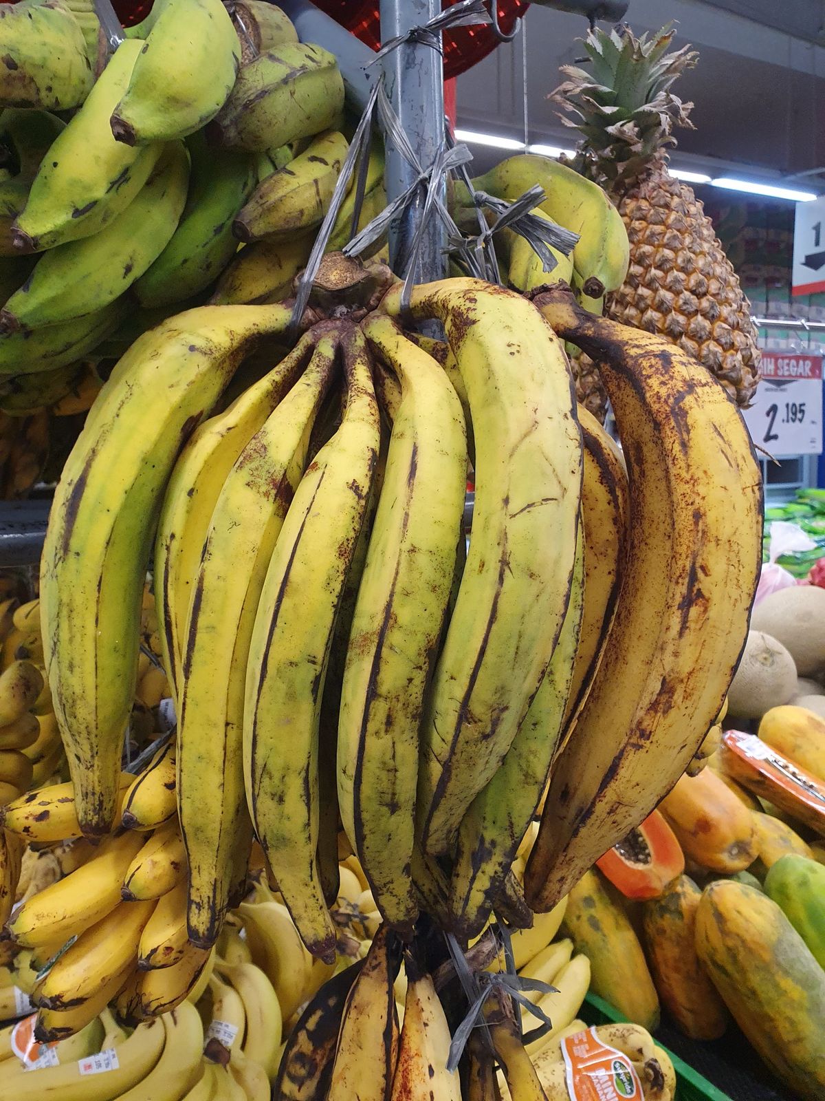 バナナ角のあるバナナ