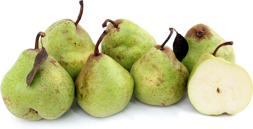 Vihreät Anjou-päärynät