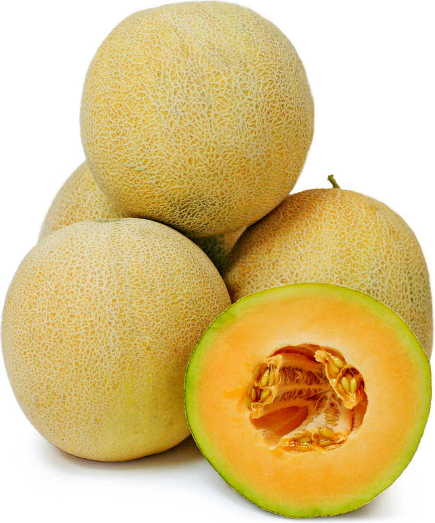 Persische Melone