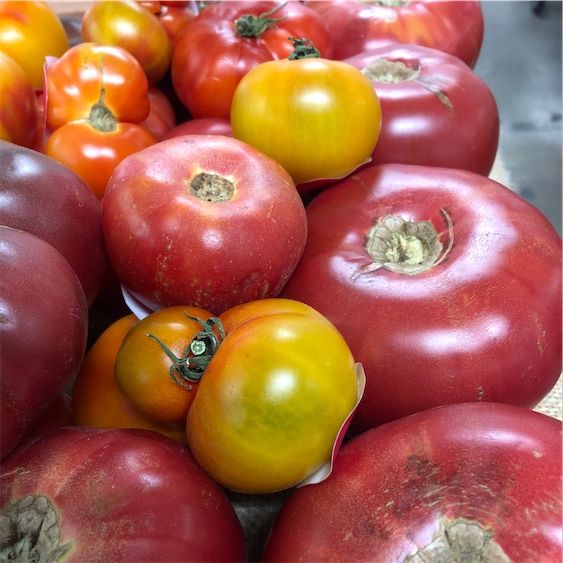 Różowe pomidory Brandywine Heirloom Tomatoes