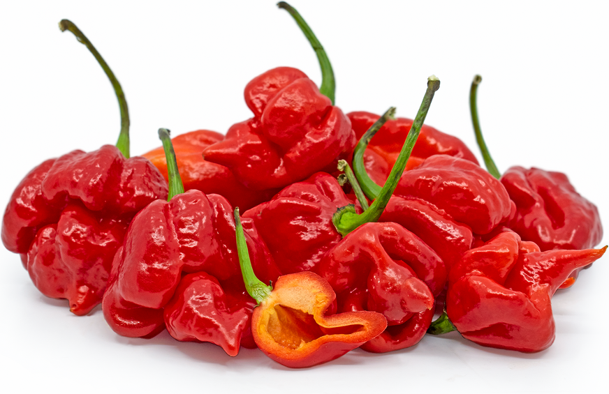 Red Scorpion Chile Peppers
