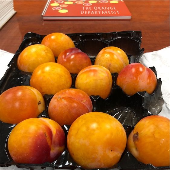 Howard's Miracle Plums