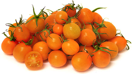 Sungold ķiršu mantojuma tomāti