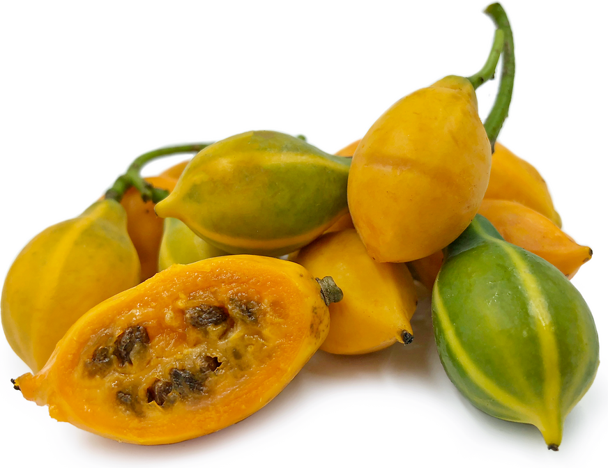 Tölgy levelű papayák