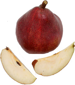 Julian Red Anjou päärynä