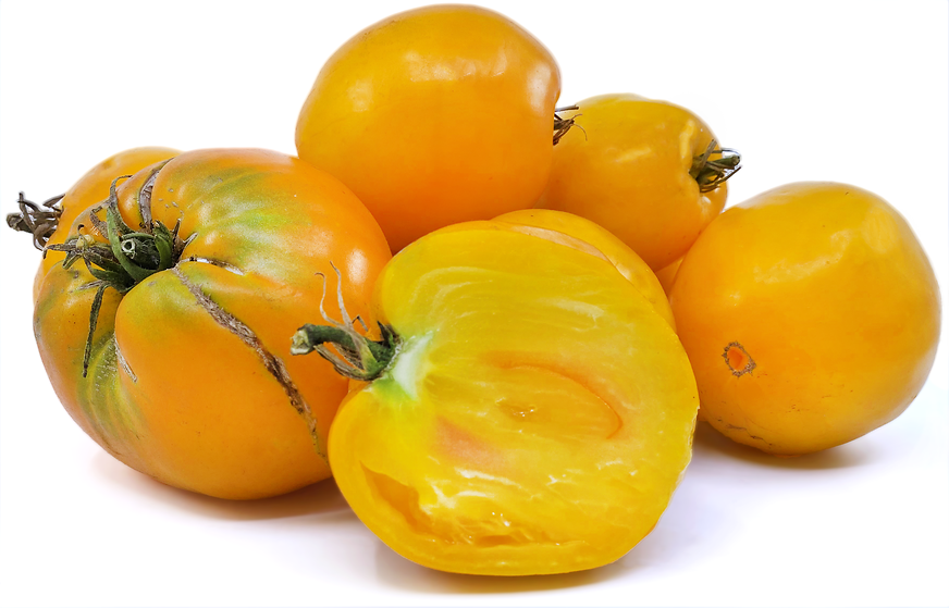 Golden King of Siberia Tomatoes