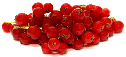 Червено френско грозде