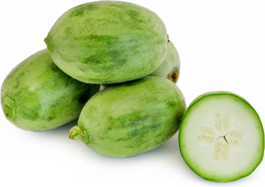 Tekka Melone