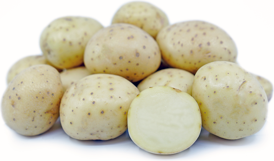 Kartoffeln mit weißer Rose
