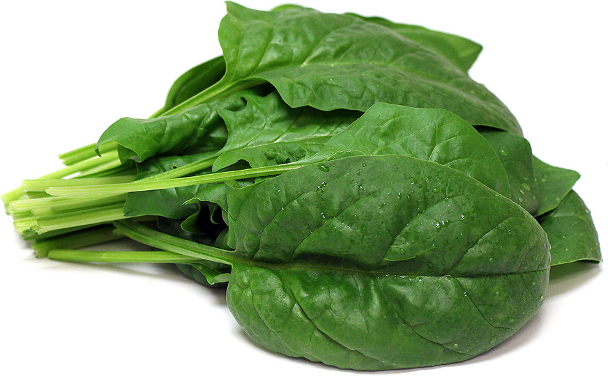 Hydro Bloomsdale Spinach