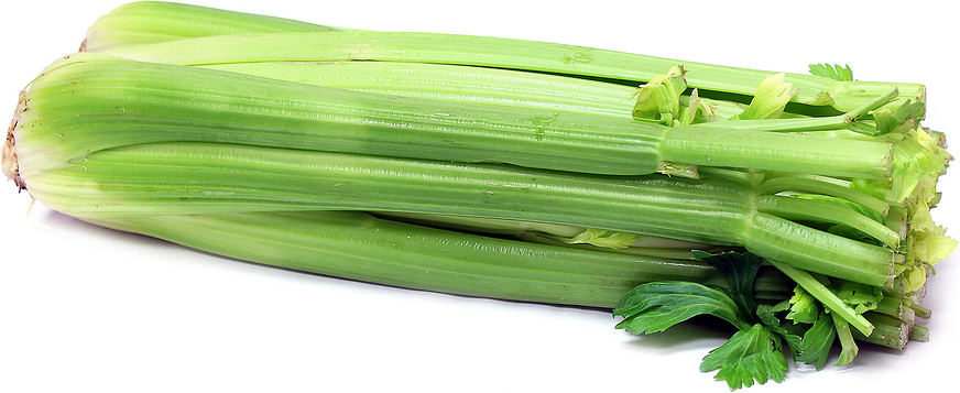 Organický celer
