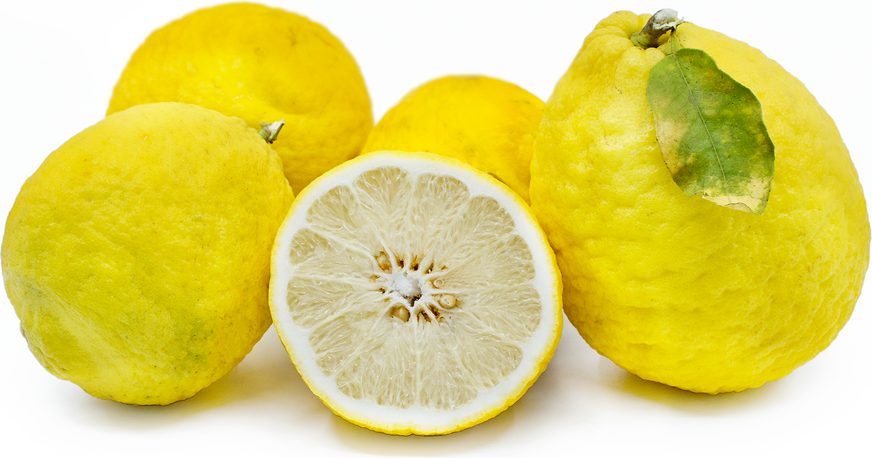 Ponderosa citroner