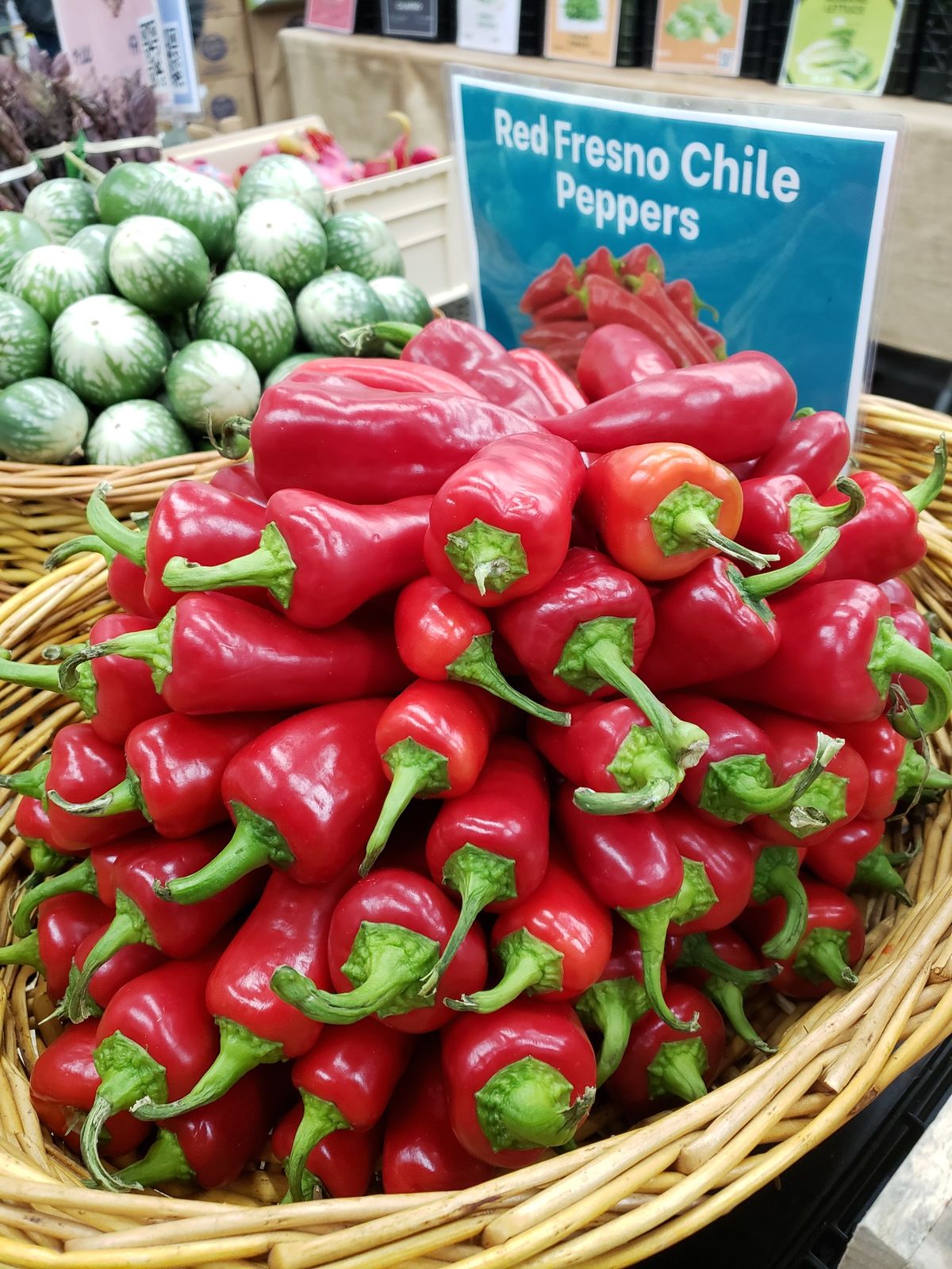 Červené fresno chilské papriky
