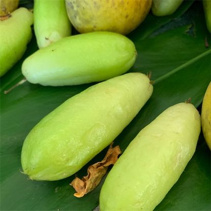 Bilimbi-hedelmä