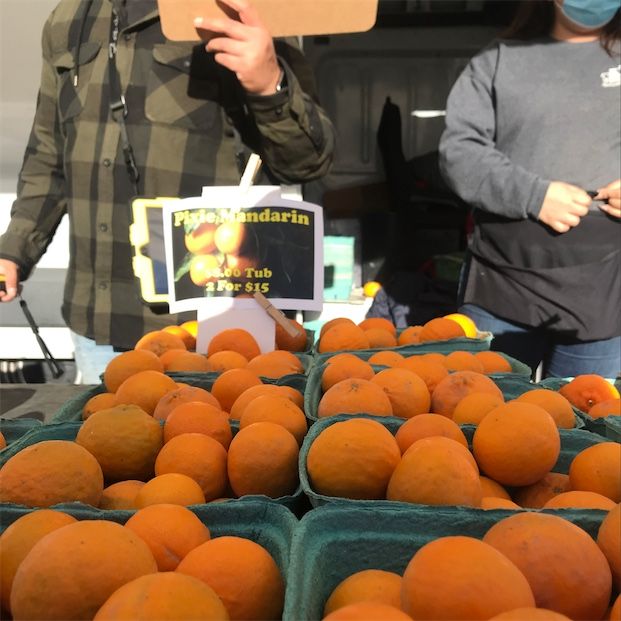 Pixie mandariner
