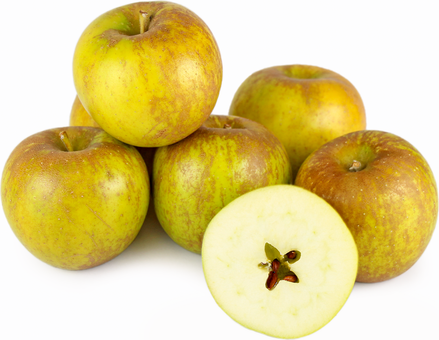 Golden Russet Äpfel