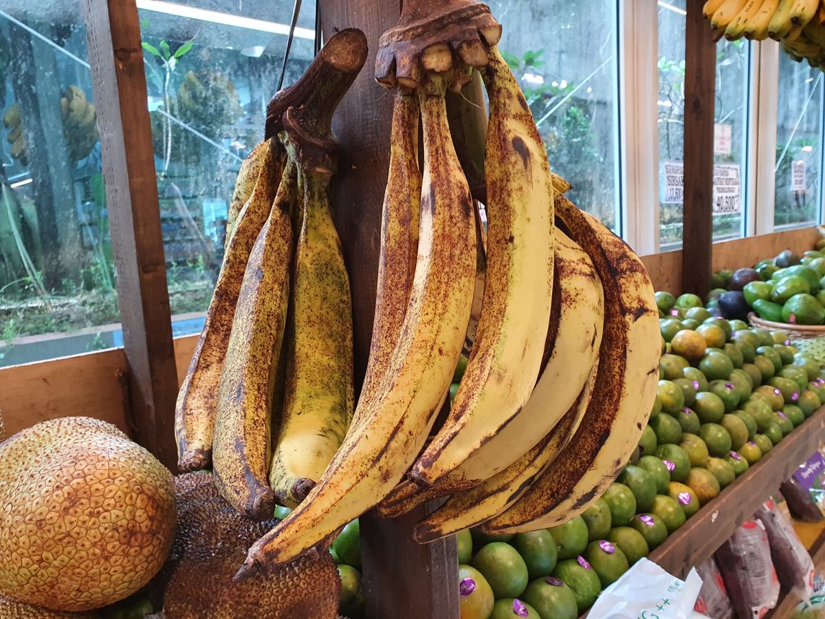 Bananes en corne