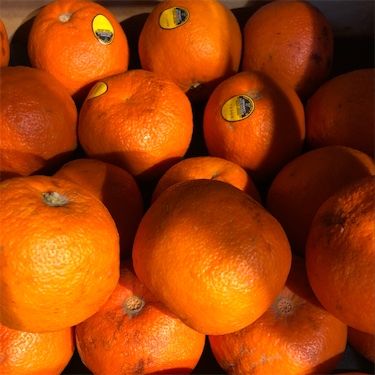 Naranjas ácidas italianas