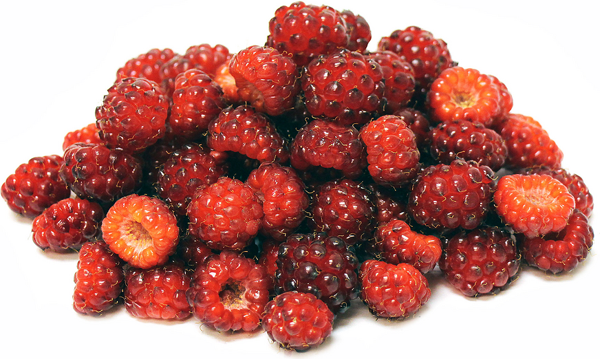 Murray Berries
