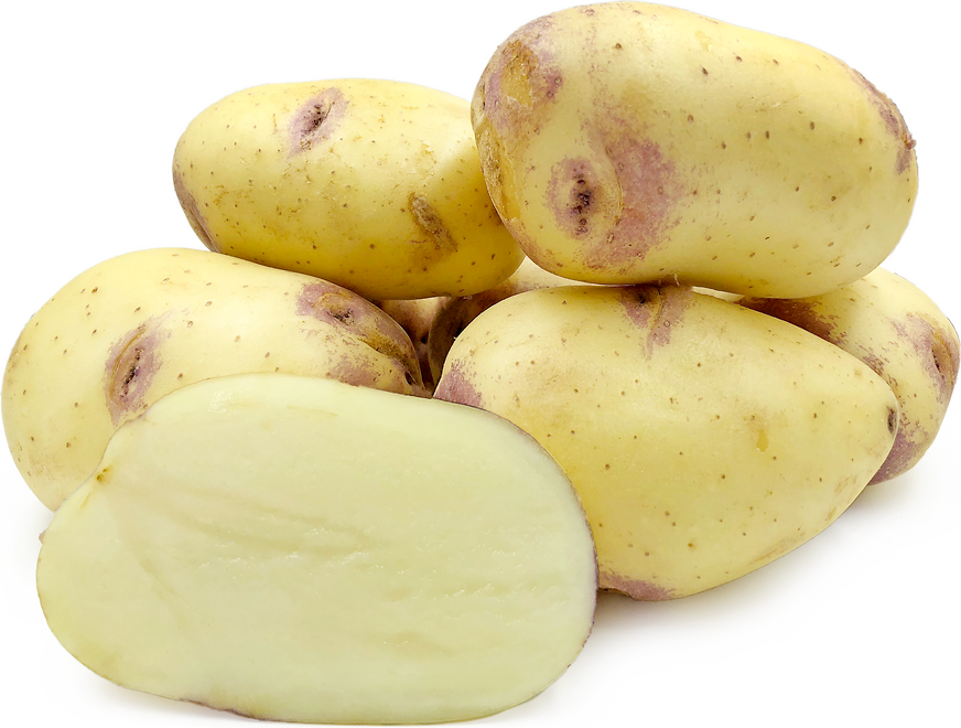 Kestr krompir
