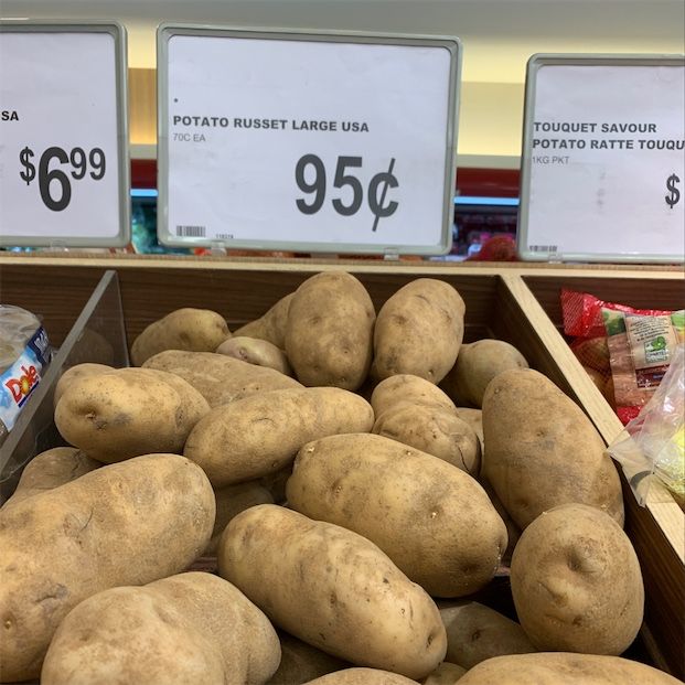 Russet Kartofler