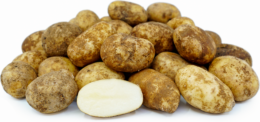 Baby Russet Kartoffeln
