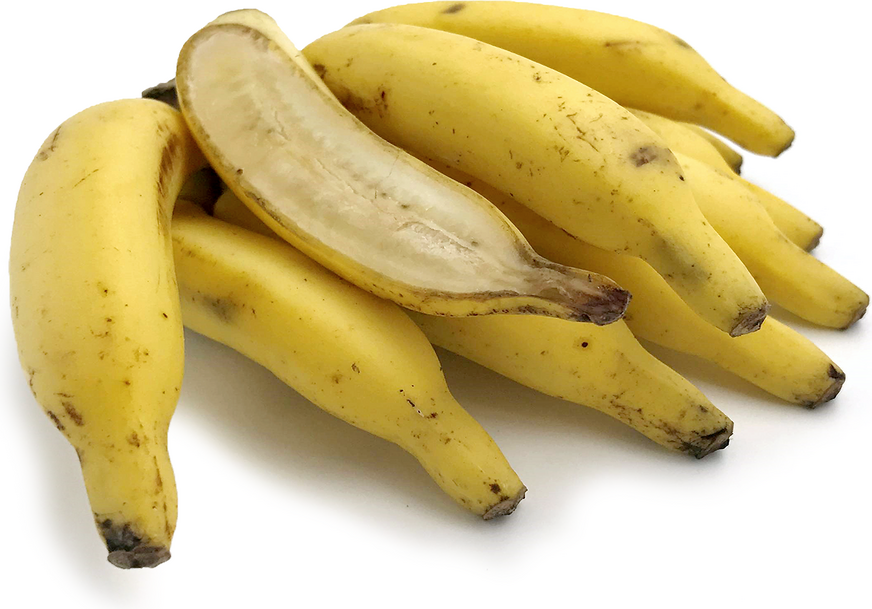 „Lady Finger“ bananai