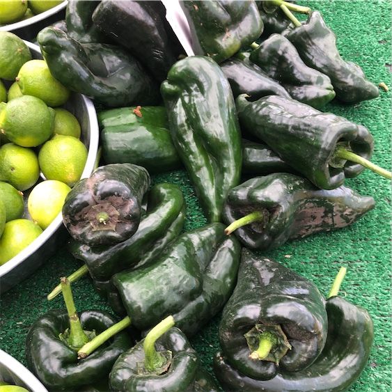 Vihreät Pasilla Chile Peppers
