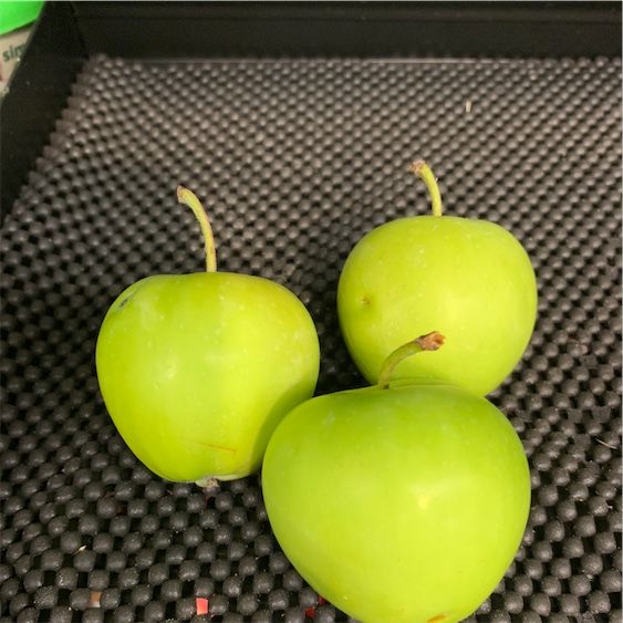 Lodi äpplen
