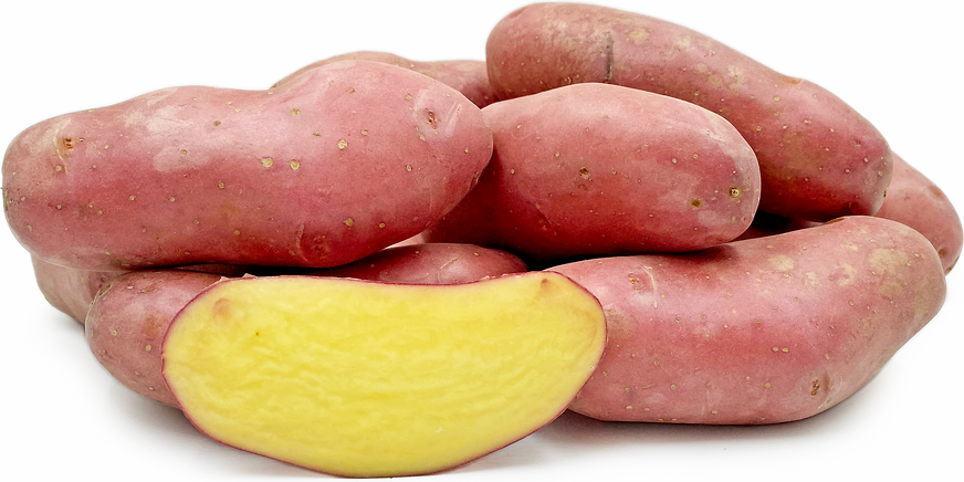 Roseval brambory