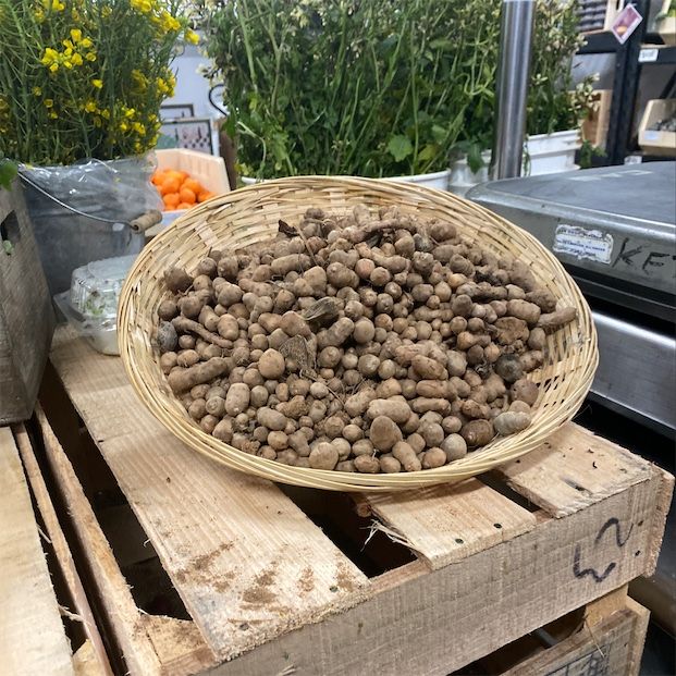 Batatas Mukago Minúsculas