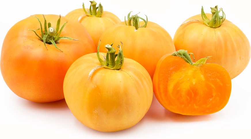 Tomates anciennes jaunes du Dr Wyche