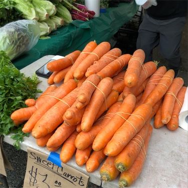 Bolero gulerødder