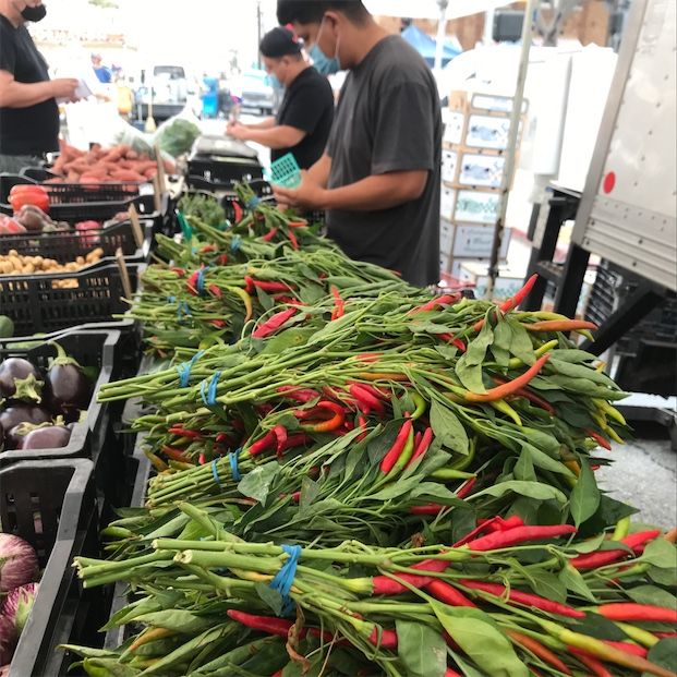 Röda thailändska chilipeppar
