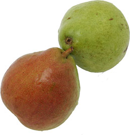 Julian Organic Comice Pears