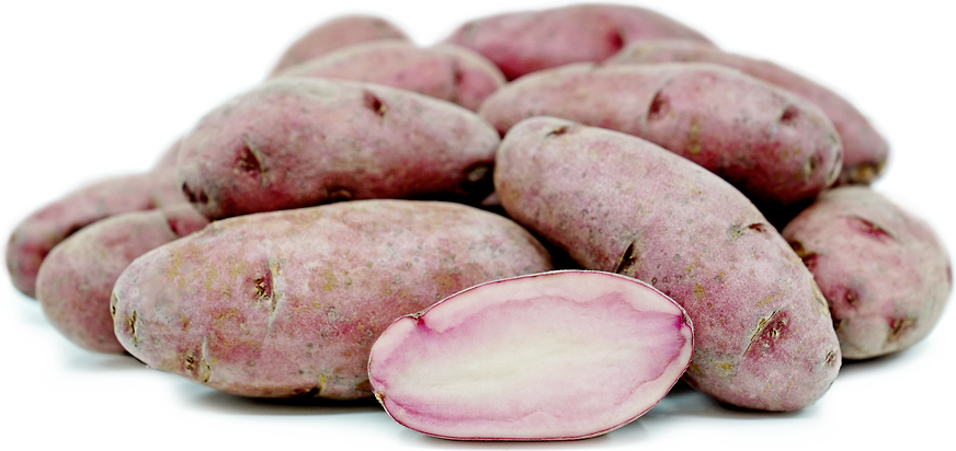 Batatas para alevinos de polegar vermelho