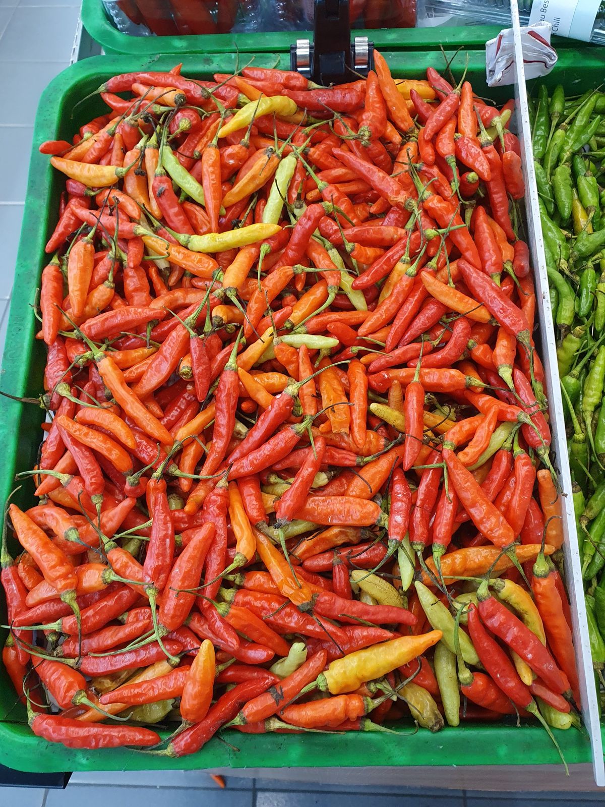 Červené korenie Čili papričky