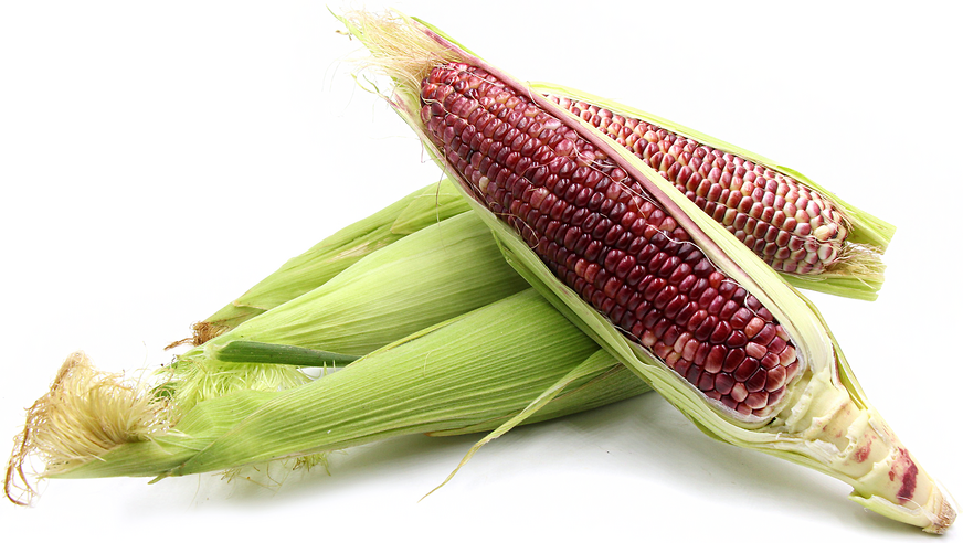 Црвена кукуруз