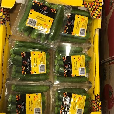 Baby grøn zucchini squash
