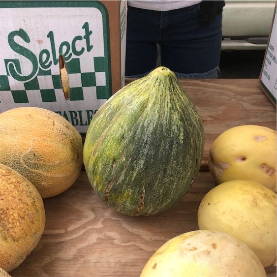 Crenshaw Melona